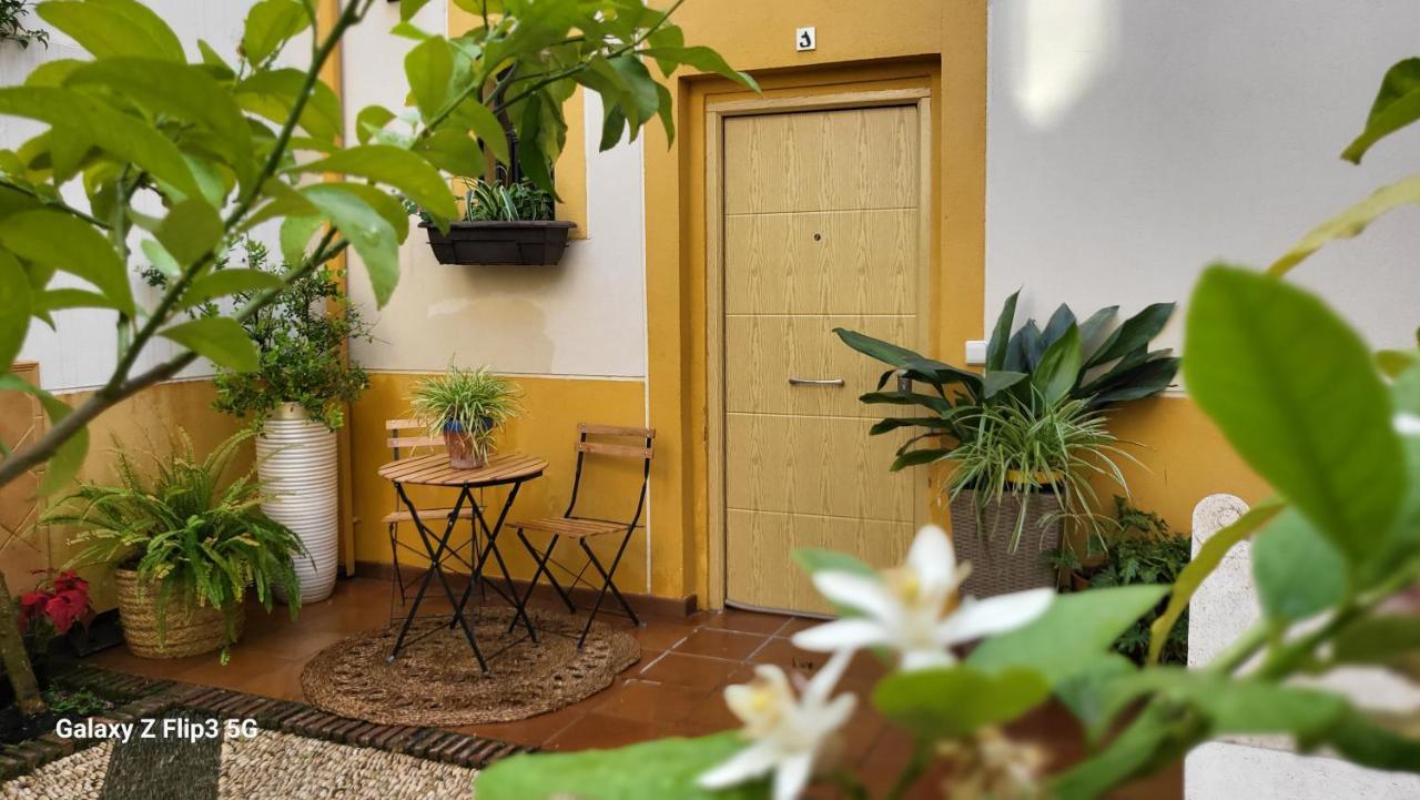Apartamento Casa Naranjo Cordoba Ngoại thất bức ảnh